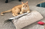 cute orange cat Finney playing with his toys on beige, carpeted, dome shaped cat scratcher that sits on the floor, 17" long