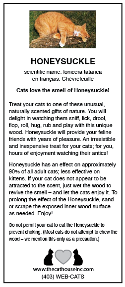 no charge honeysuckle information sheet talking about the history and what cats like about honeysuckle – we include with any honeysuckle order and retail stores can request extras and/or a laminated version, at no charge