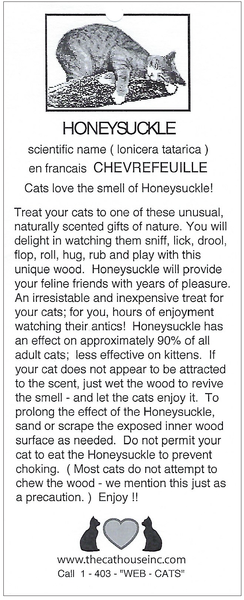 free info sheet about honeysuckle and why cats like it so much