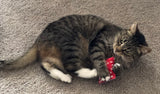 cute tabby cat playing with refillable catnip/honeysuckle pouch