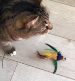 closeup of tabby cat KitKat playing with toy bird