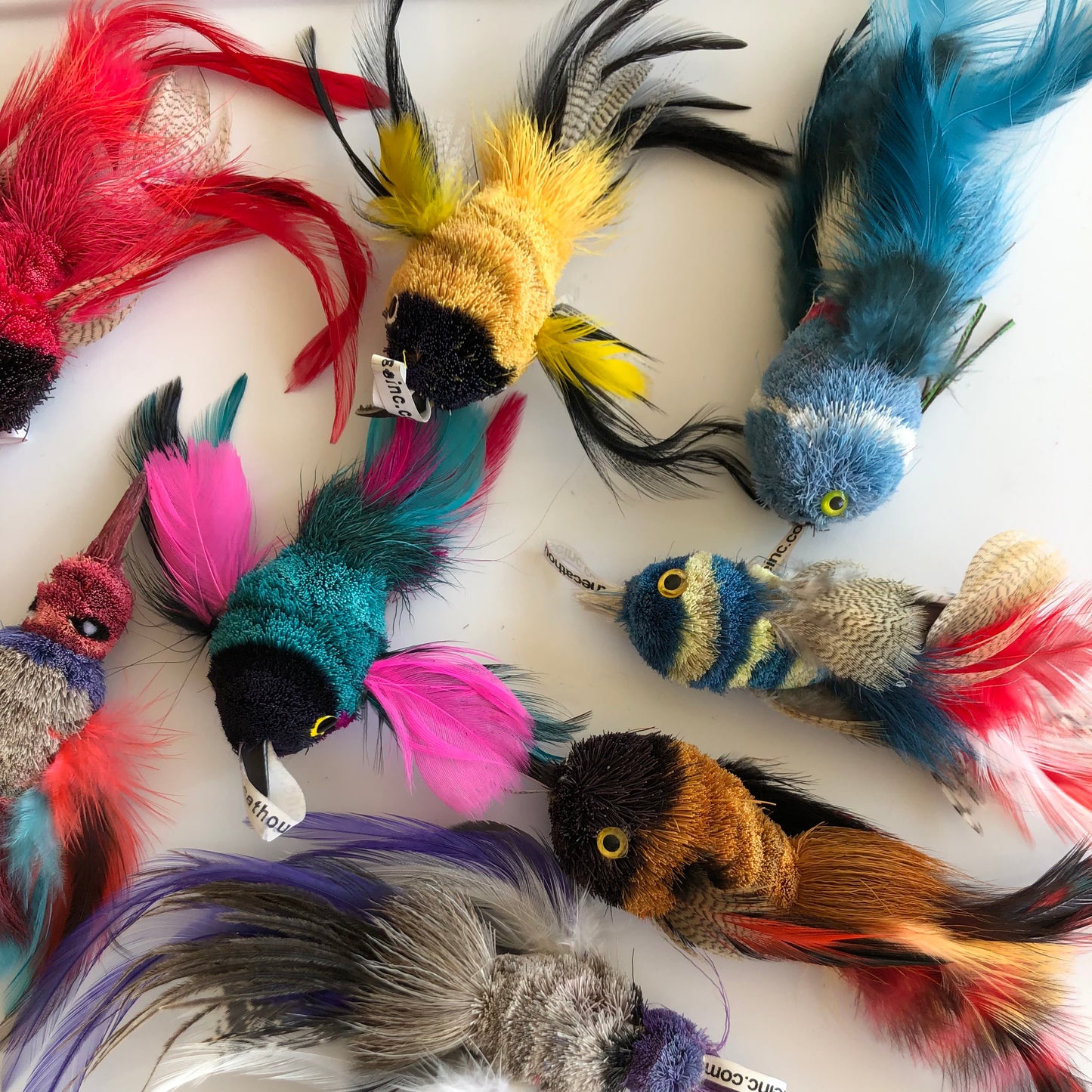 collage of a variety of cat toy birds, multicoloured, made with sheared fur body and feather wings and tail