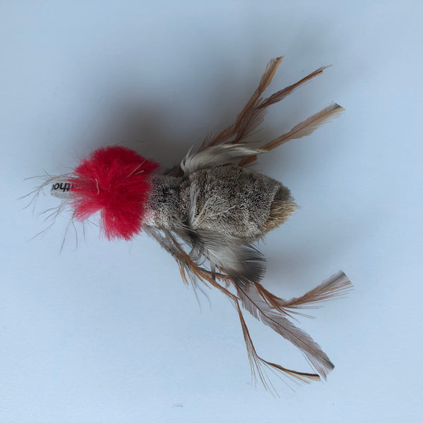 Bestselling cat toy about 2" long with feather wings, looks like a fly, cats love it, play on their own or with wand/fishing rod