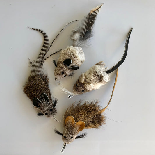 variety of different styles of real fur mice that shows some with long fur, short fur, leather tail or feather tail