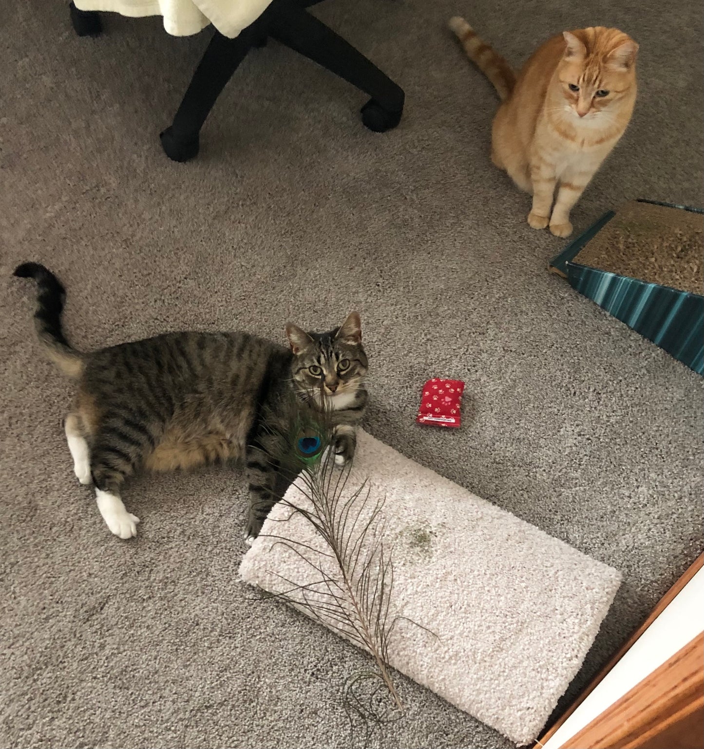 2 cute cats playing and leaning on beige, carpeted, dome shaped cat scratcher that sits on the floor, 17" long