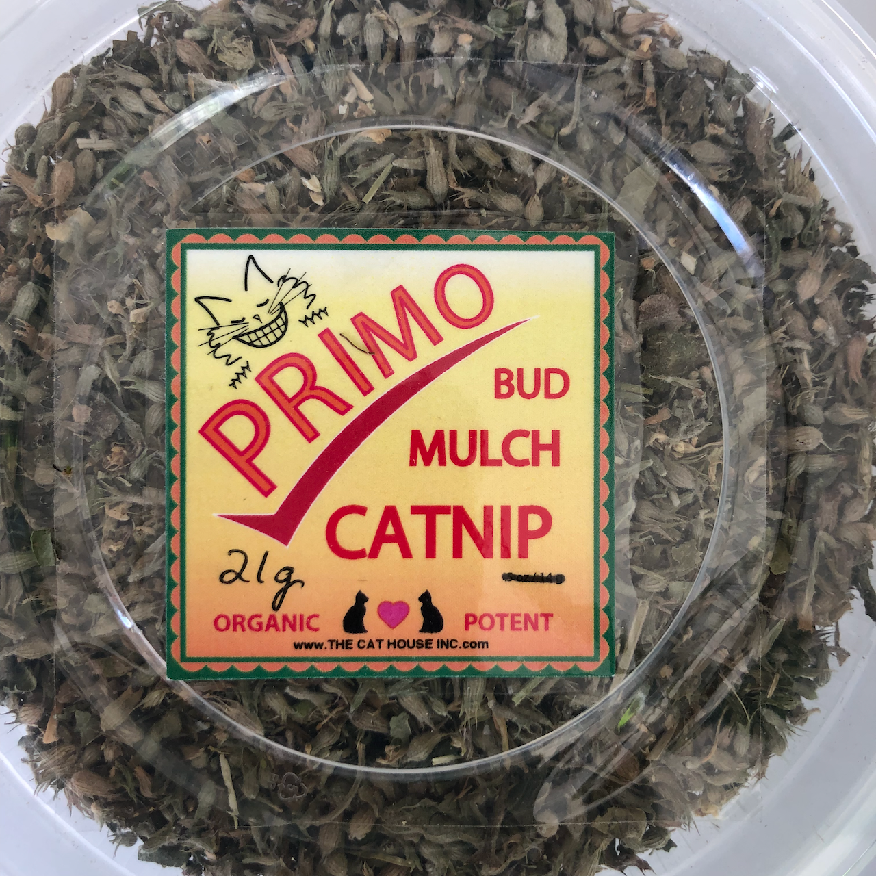 primo organic Canadian grown catnip in small plastic container 21g