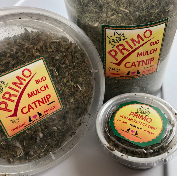 high grade organic catnip comes in variety of sizes, sample to large, 7g to 84 g