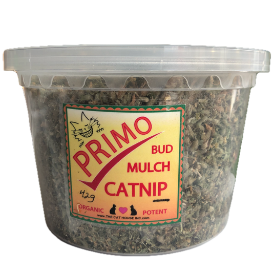 42g medium size plastic tub of primo organic catnip