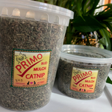 primo high potency catnip shown in 84g plastic tub and 42g tub for comparison