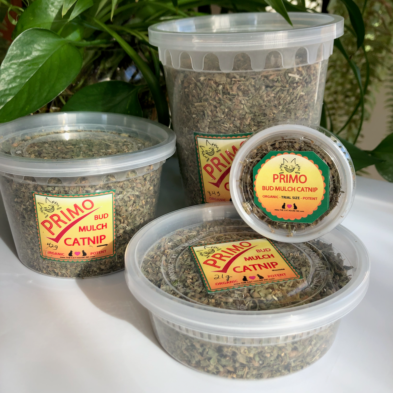 all 4 sizes of primo high potency organic catnip: trial size 7g, small 21g, med 42g and largest 84g