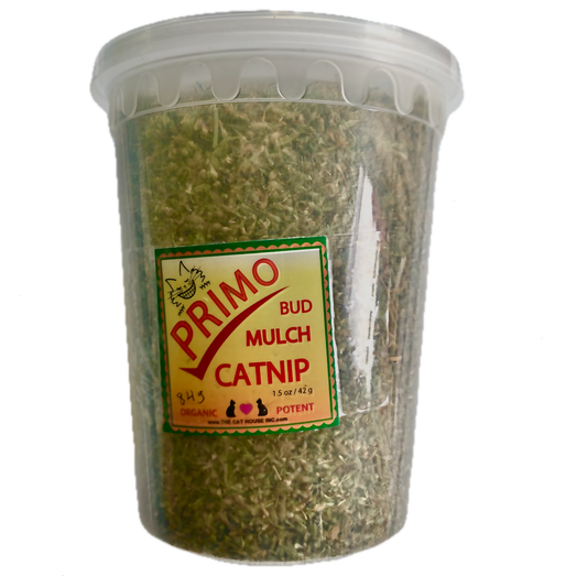 close up of 84g plastic container filled with organic high potency Canadian grown catnip